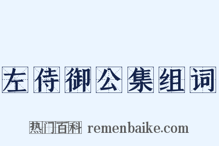 左侍御公集组词是什么意思的图片